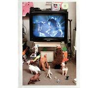 Björk: Live In Cambridge [DVD]