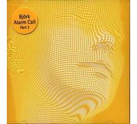 Bjork - Alarm Call [CD 3]