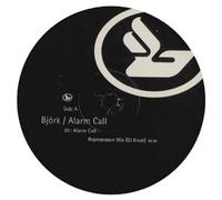 Bjork - Alarm Call (Remix) / So Broken (Remix) [12" Vinyl]