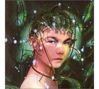Bjork - Bachelorette / Joga