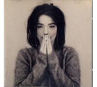 Bjork - Debut