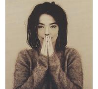 Bjork - Debut