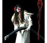 BJORK - Drawing Restraint 9