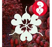 Bjork Ovule (Sega Bodega Remix) 12" Vinyl Single Clear RSD 2023 NEW