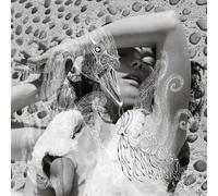 Bjork - Vespertine