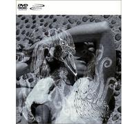 Bjork - Vespertine [DVD AUDIO]