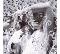 Bjork - Vespertine [DVD AUDIO]