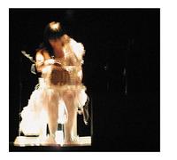 Bjork - Vespertine Live