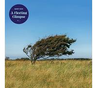 Bjorn Riis - A Fleeting Glimpse (Blue Vinyl) [VINYL]