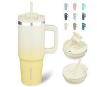 BJPKPK 900 ml Insulated Tumbler with Handle & Straw, Stainless Steel