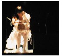 Bjrk - Vespertine Live