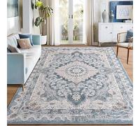 BK&MF Boho Vintage Area Rug, Non-Slip Low-Pile Crystal Velvet Floor Mat, Easy Care American Style Carpet for Living Room Bedroom Sofa,C,80x120cm(31x47inch)
