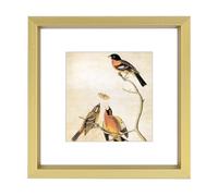 BKABOT 3x3 Picture Frame, Brass Metal Square Photo Frames with HD Glass, Fits 2x2 with Mat or 3 x 3 without Mat, Display for Wall and Table, 1 Pack