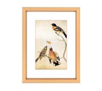 BKABOT 3x4 Picture Frame, Gold Metal Photo Frames with HD Glass, Fits 2x3 with Mat or 3 x 4 without Mat, Display for Wall and Table, 1 Pack