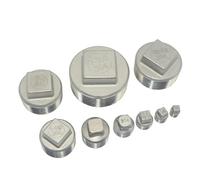 BKGWCSOR 1pc 304 Stainless Steel Square Head Cap 1/8" 1/4" 3/8" 1/2" 3/4" 1" 1-1/4" 1-1/2" 2" BSP NPT Male Cap Tube Pipe Fittings(3/4")