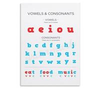 BKGWCSOR Alphabet Vowels Consonants Poster Letter Sound Guide for Preschool Kindergarten Reading Readiness(Framed,12x18inch(30x45cm))