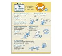 BKGWCSOR Cat First Aid Chart Choking Rescue CPR Steps Pet Emergency Guide Veterinary Clinic Home Office Art(Unframed,12x18inch(30x45cm))