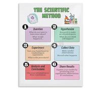 BKGWCSOR Scientific Method Chart Question Research Data Analysis Poster Science Fair Project Student Teacher Art(Unframed,16x24inch(40x60cm))