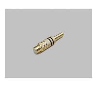 BKL 0101106 RCA Connector 2-pin Mono Red Straight 1pc
