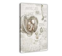 BKNSLJH Studies of The Fetus in The Womb - Leonardo Da Vinci Anatomy Illustration Canvas Poster Bedroom Decor Landscape Office Room Decor Gift 08x12inch(20x30cm)