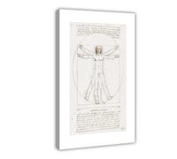 BKNSLJH Vitruvius - Leonardo Da Vinci Proportions of The Human Figure Illustration Canvas Poster Bedroom Decor Landscape Office Room Decor Gift 08x12inch(20x30cm)