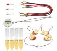 Blablablalu Science Kits for Kids Age 8-12, Fruit Battery Science Experiments Kit with Electronic Clock and RGB LED for DIY Home Teaching Toy, Education Subject