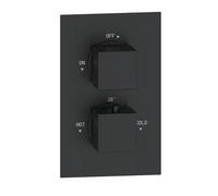 Black 1 Outlet Concealed Thermostatic Shower Valve with Dual Control - Zana