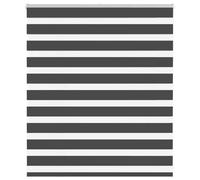 vidaXL Zebra Blind Black 120x100 cm Fabric Width 115.9 cm Polyester, Black