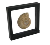 Black 3D Floating Frame. Unique Way to Showcase Your collectables