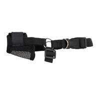 Black Adjustable Pet Collar with Buckle and Metal D-Ring | A black webbing collar includes a side-release buckle, adjustment slider and metal lead attachment ring. The strap has
