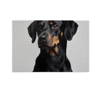 Black And Brown Dog Sitting OnWooden Jigsaw Puzzle Puzzles for Adults 1000 Pieces
