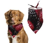 Black and Red Fruits Dog Bandana Washable & Adjustable Triangle Scarf, Breathable Pet Scarf for Small Medium Large Pets, Cute Fashion Pet Accessory