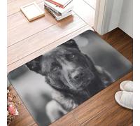 Black And White Belgian Shepherd Dog Malinois Photo Anti-slip Doormat Floor Mat Carpet Rug for Kitchen Entrance Home Footpad Mat