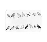 Black and White Birds Print Living Room Bathroom Kitchen Anti Slip and Absorbent Carpet, Indoor Entrance Door Muddy Floor Mat, Ultra Soft Washable Carpet 21x31.5 Inches