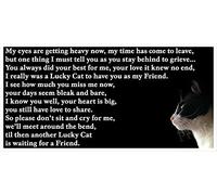 Black and White Cat Bereavement Memorial Flexible Fridge Magnet Gift - Lucky Cat