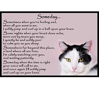 Black and White Cat Bereavement Memorial Flexible Fridge Magnet Gift - Someday