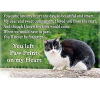 Black and White Cat Fridge Magnet Rainbow Bridge cat Memorial