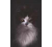 Black and White Cat Notebook: Blank Lined Cat Notebook for All Ages, Animals |6x9 inches, 110 pages | Gifts for Birthdays, Christmas, Thanksgiving and more
