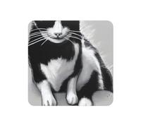 Black And White Cats Print Strong Refrigerator Magnets Decor Fridge Magnets,For Kitchen Whiteboard Office Locker