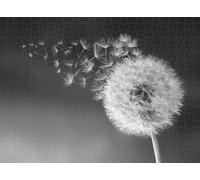Black And White Dandelion-Adult 2000 Piece Jigsaw Puzzle Intelligence Wooden Jigsaw Teenager Family Stress Relief Game