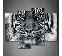 Black And White Ferocity Tiger With Eye Staring And Beard Wall Art Painting Pictures Print On Canvas Animal The Picture For Home Modern Decoration