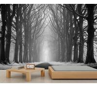 Black and White Forest Wallpaper, Misty Forest Tree Path Wallpaper for Living Room, Natural Landscape Wall Murals for Bedroom Decor Mural Kids Room Poster 100 X 70 cm