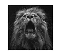 Black And White Geometric Jungle Roaring Lion Canvas Poster Bedroom Decor Landscape Office Room Decor Gift 28x28inch(70x70cm)