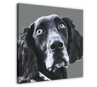 Black And White Graffiti Pointer Dog Canvas Poster Bedroom Decor Landscape Office Room Decor Gift 12x12inch(30x30cm)
