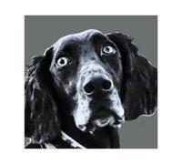 Black And White Graffiti Pointer Dog Canvas Poster Bedroom Decor Landscape Office Room Decor Gift 28x28inch(70x70cm)