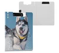Black and White Husky Dog with Blue Eyes Yellow Collar Running in The Snow Blue Sky Background Happy Expression Shot from Below Cinematic Shot by David Fincher Anamorphic Prime Lens Photorealis