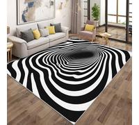 Black and White Line Rugs - Abstract Optical Illusion Area Rugs for Living Room Bedroom, Washable Non Slip Low Pile Small Carpet, Patterned Door Mat & Home Decor, 60x90cm QAZ18