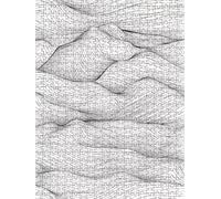 Black And White Lines Jigsaw Puzzle 6000 Piece, Puzzles for Adults 6000, The Impossible Challenge, Jigsaw Puzzle Games Classic Educational, Wooden Puzzles, for Home Wall Decoration Gift FNKL1-386