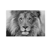Black And White Lion1