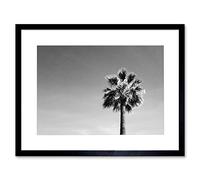 Black And White Palm Tree Art Print Black Framed Poster Wall Decor 12x16 inch